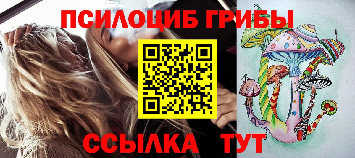 Псилоцибиновые грибы прущие грибы Богданович