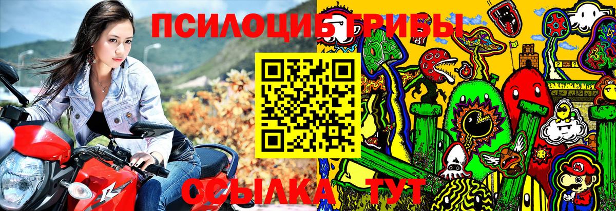 Богданович  Галлюциногенные грибы GOLDEN TEACHER  Вход с VPN 